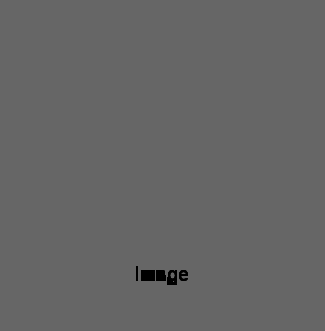 Shape Image