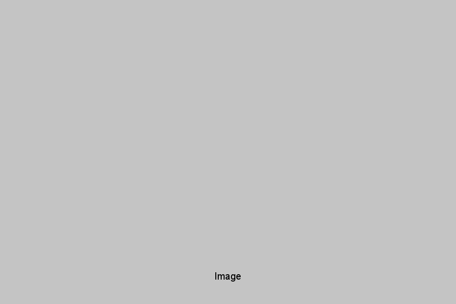 feature Image