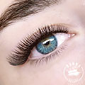 Volume, Hybrid, Classic extension Eyelash Price Package Image