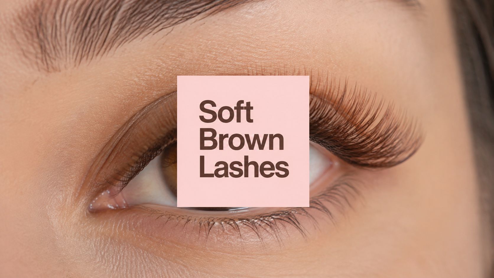 brown lash extensions brown lashes Bankstown bonna beauty | brown lash extensions | eyelash extensions