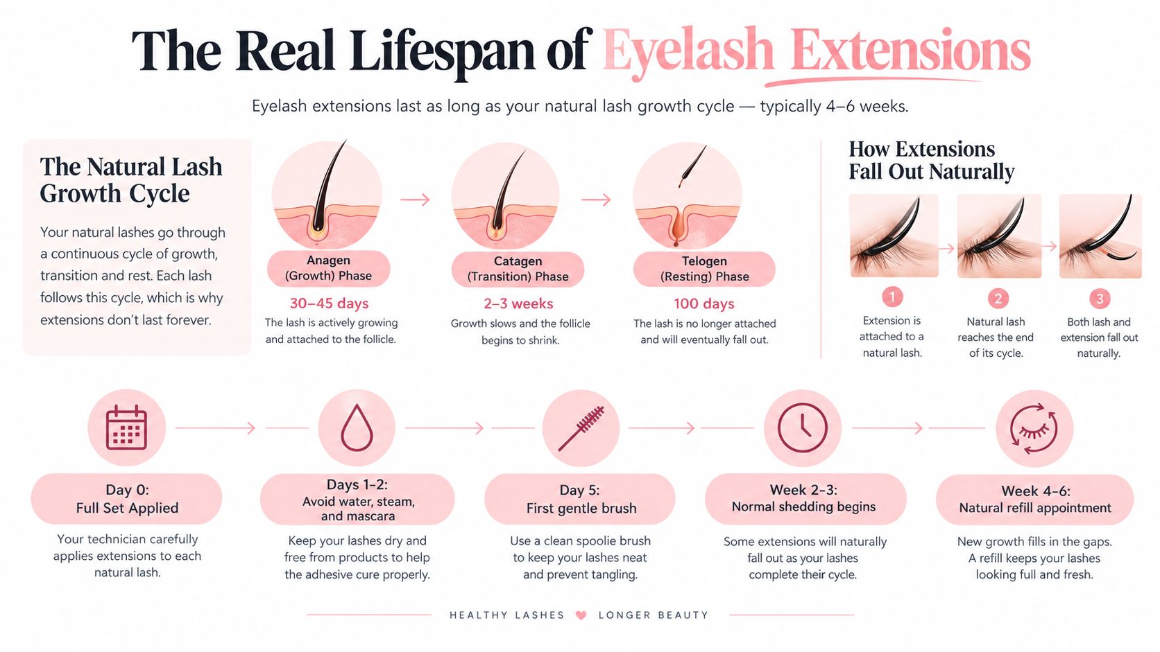 An infographic showing the natural eyelash growth cycle and how lash extensions fall out over time.