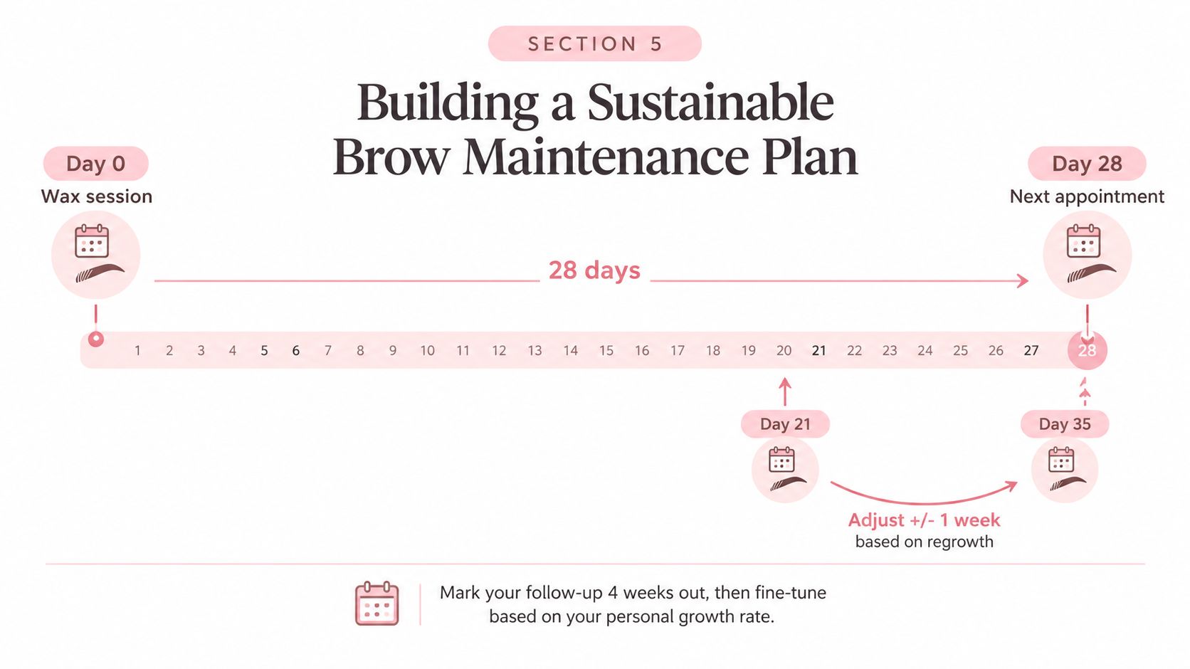How Often Should You Wax Your Eyebrows: A Sydney Guide 4 A timeline graphic showing a 28-day sustainable brow maintenance plan for scheduling waxing appointments effectively.