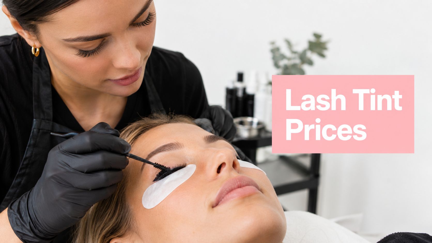 lash tint price eyelash application Bankstown bonna beauty | eyelash tinting | lash lift and tint