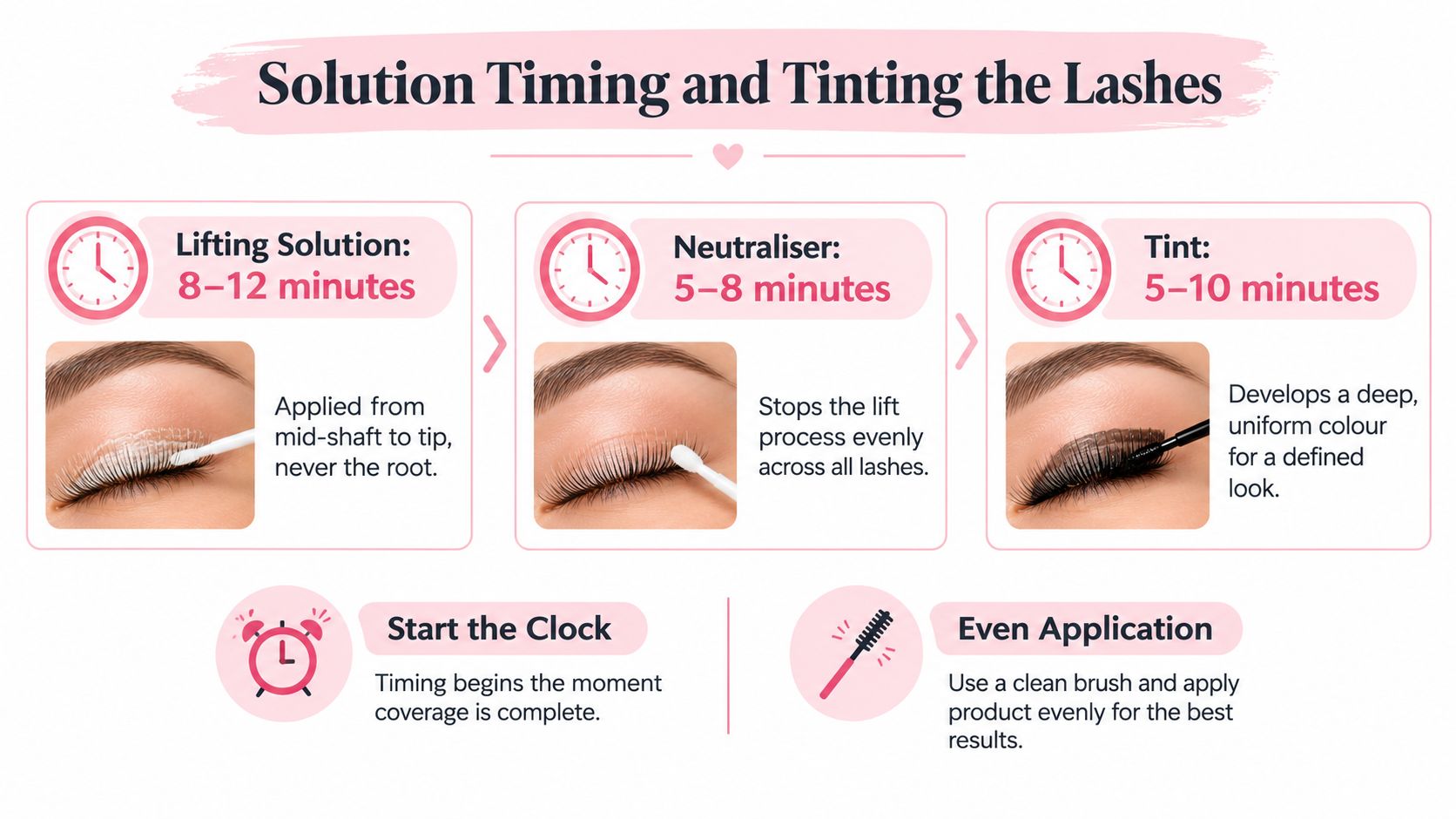 Lash Lift and Tint Steps: A Complete How-To Guide 4 An instructional infographic detailing the timing and application steps for a professional lash lift and tint process.